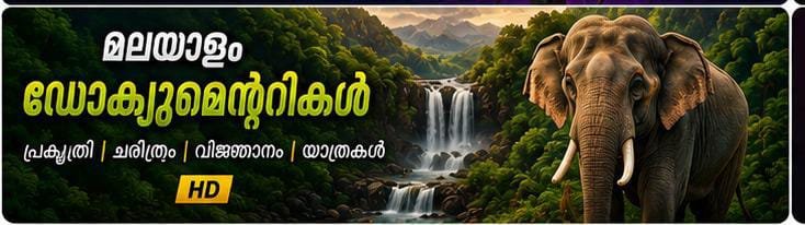 Malayalam Channels
