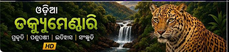 Odia Channels